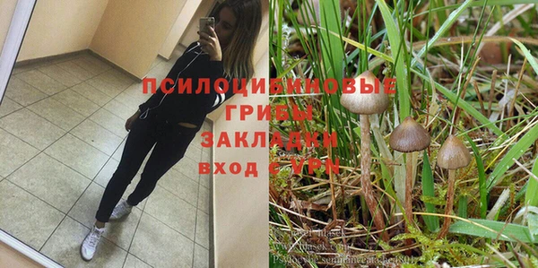 эйфоретик Абинск